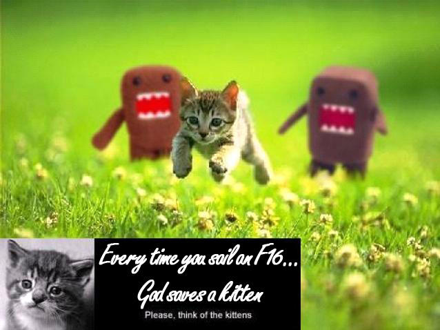 [Linked Image]