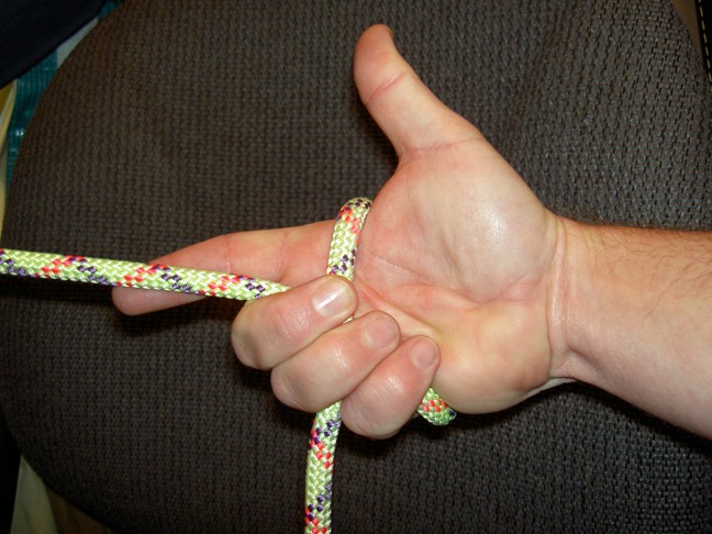 [Linked Image]