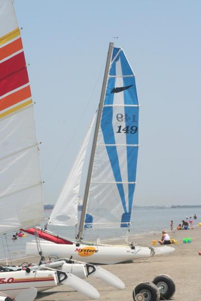 Attached picture 115405-betterpicof4.3.jpg