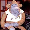 Attached picture 75289-monkey.jpg