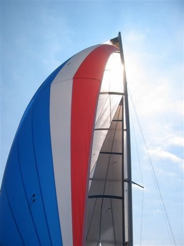 Attached picture 94626-Blade_F16_NED_006_Jaap_spinnaker.jpg